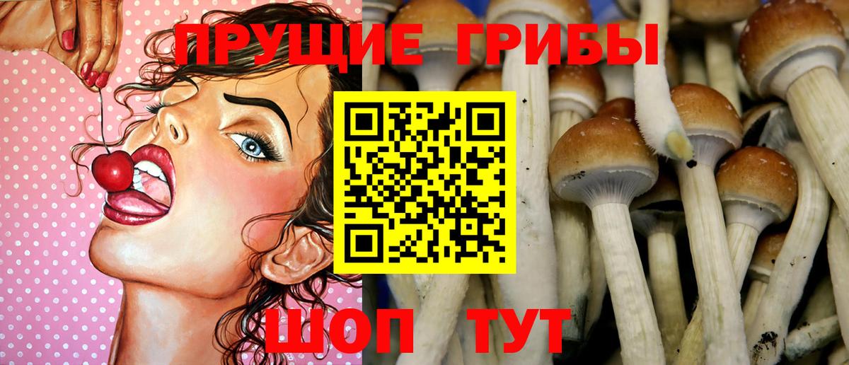 Иркутск  цена   Вход с VPN  Галлюциногенные грибы мухоморы  Галлюциногенные грибы Psilocybe 
